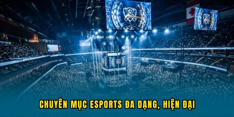 Chuyên mục esports đa dạng, hiện đại